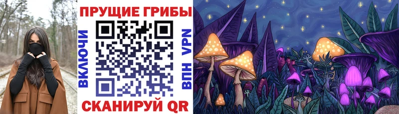 Купить закладки  Теберда  Галлюциногенные грибы мухоморы 